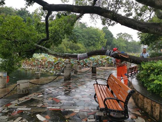 82813597c114fe1c85b37451797ce39