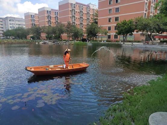 b2674d082d0433d542f51da1a266fe5